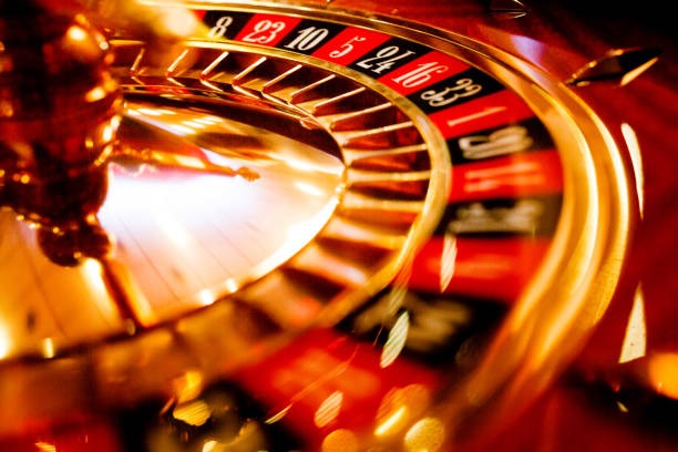 bima platform dashboard showing slots, live dealer, and sportsbook sections